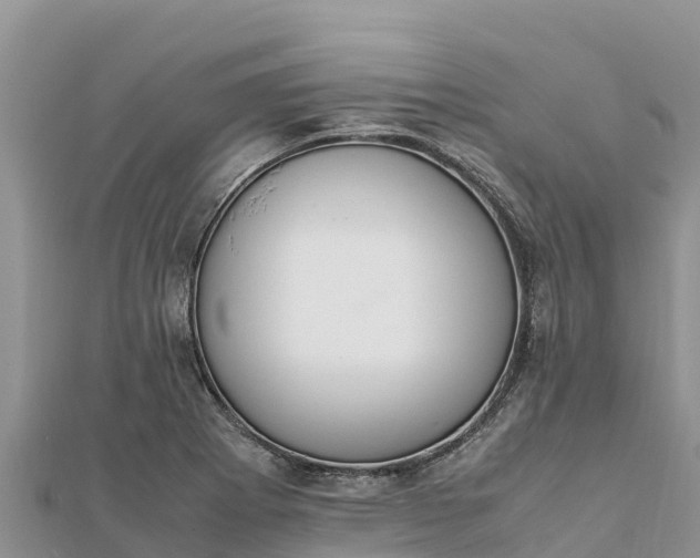 X0000112111273200908181340