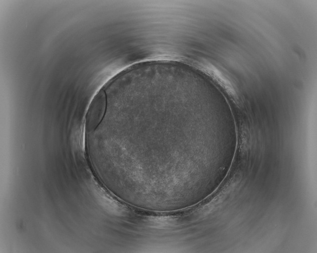 X0000112111276200908181340