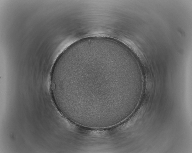 X0000112111277200908181340