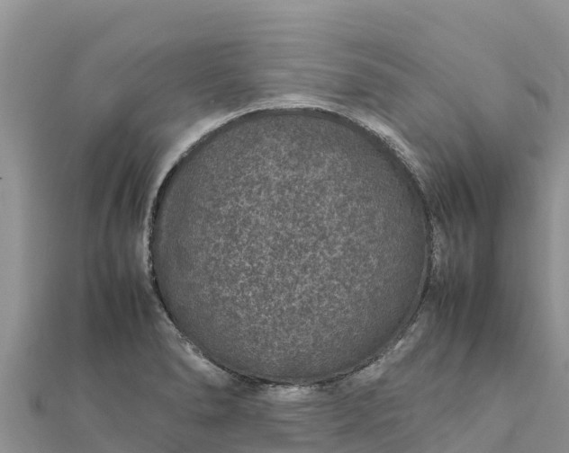 X0000112111278200908181340