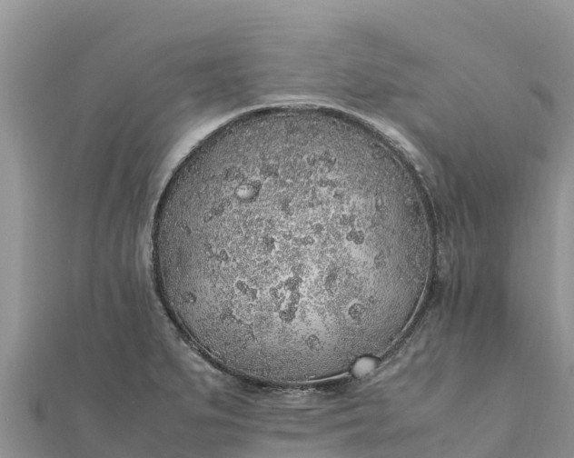 X0000112111279200908181340