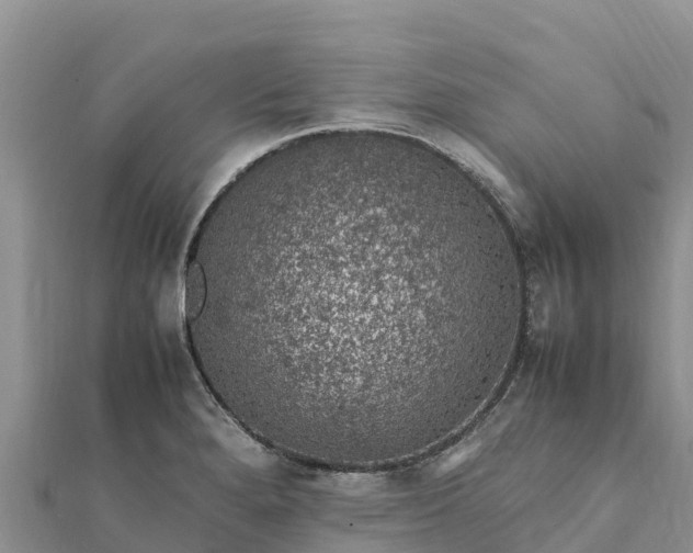 X0000112111280200908181340