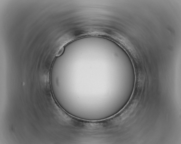 X0000112111281200908181340