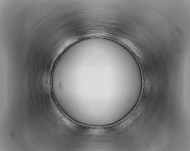 X0000112111282200908181340