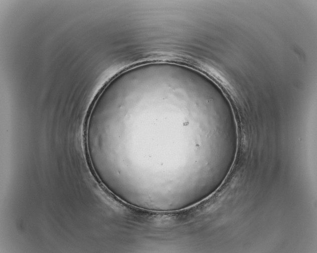 X0000112111283200908181340