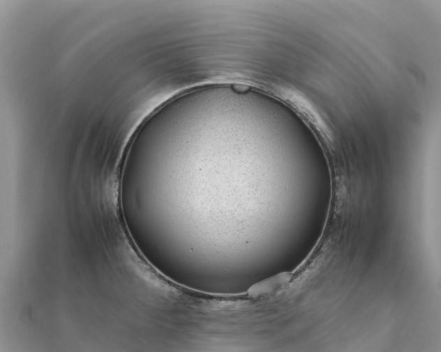 X0000112111284200908181340