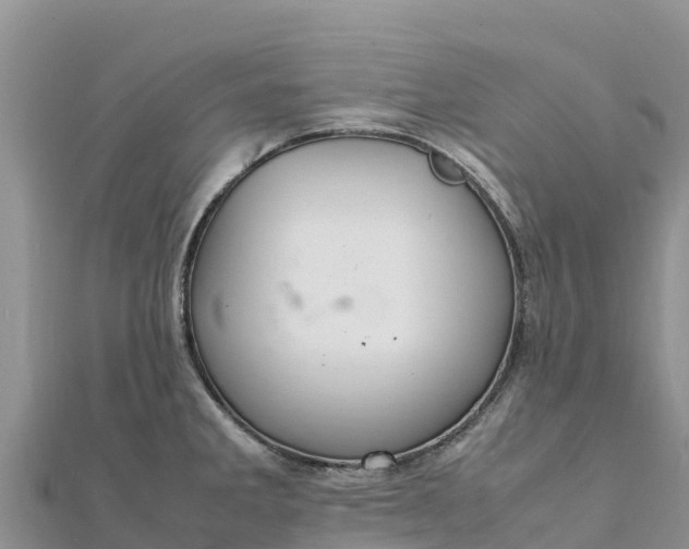 X0000112111285200908181340