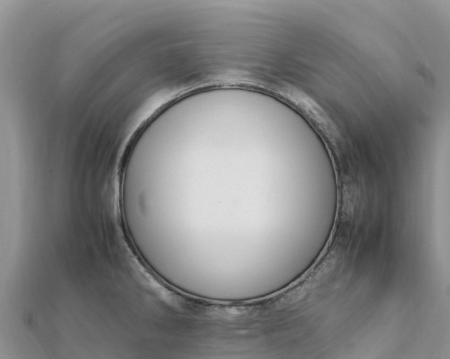 X0000112111286200908181340