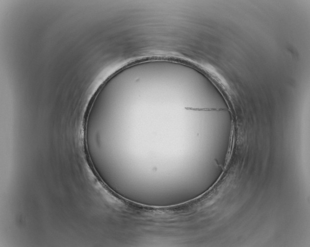 X0000112111287200908181340