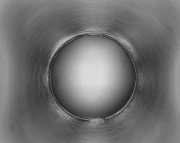 X0000112111288200908181340