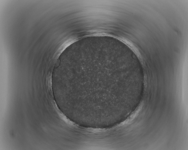 X0000112111289200908181340