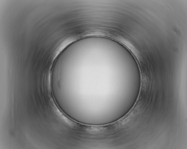 X0000112111290200908181340