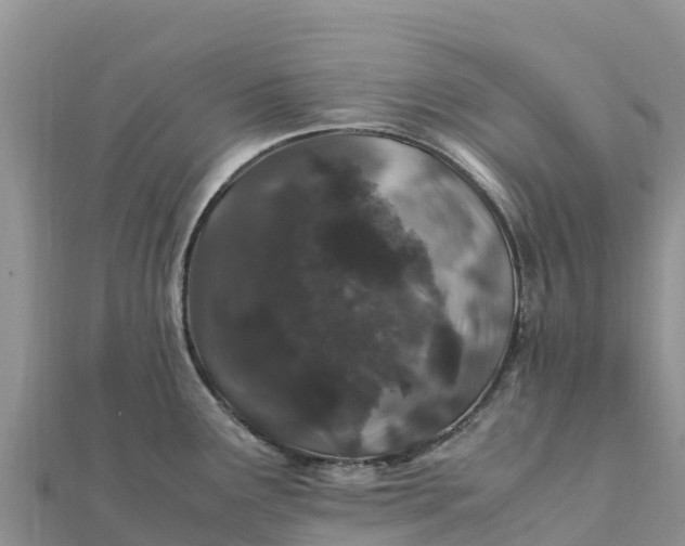 X0000112111291200908181340