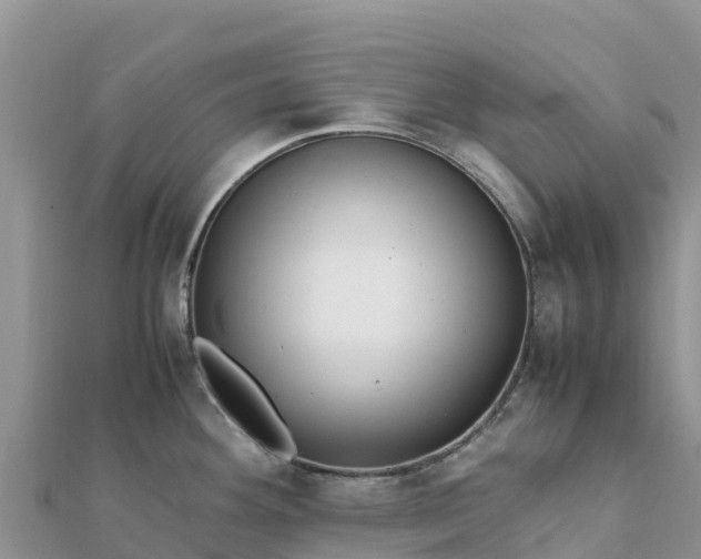 X0000112111292200908181339