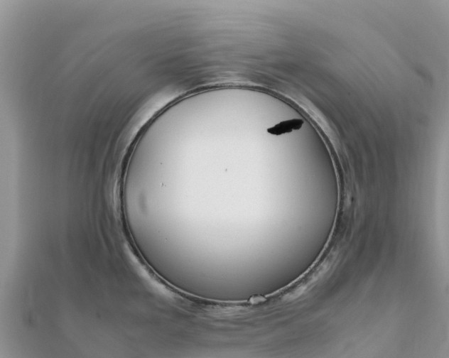 X0000112111293200908181339