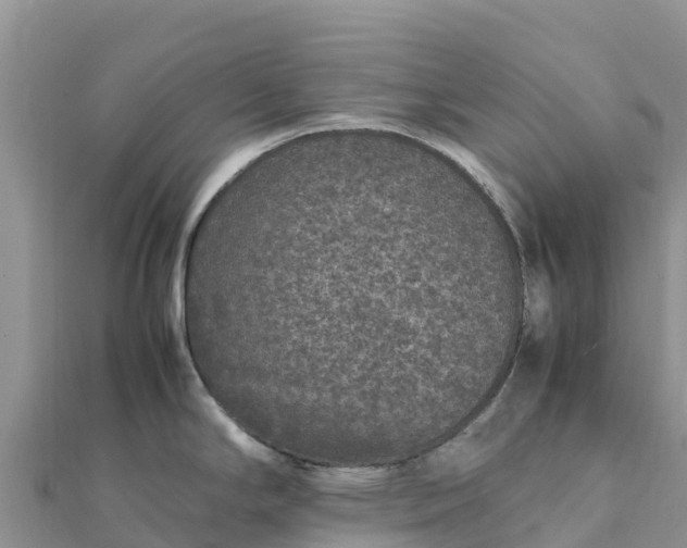 X0000112111294200908181339