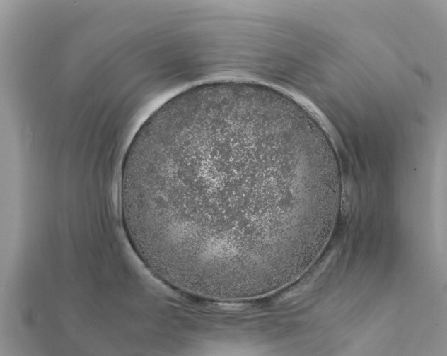 X0000112111295200908181339