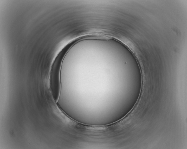 X0000112111296200908181339