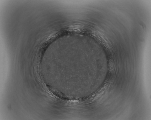 X0000112111297200908181339