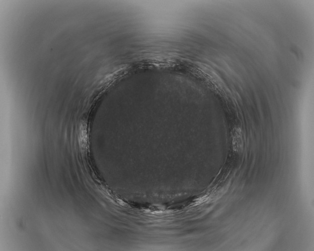 X0000112111298200908181339