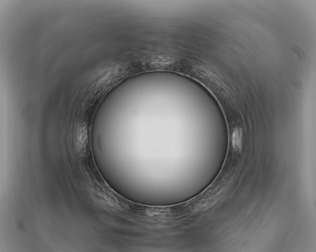 X0000112111299200908181339