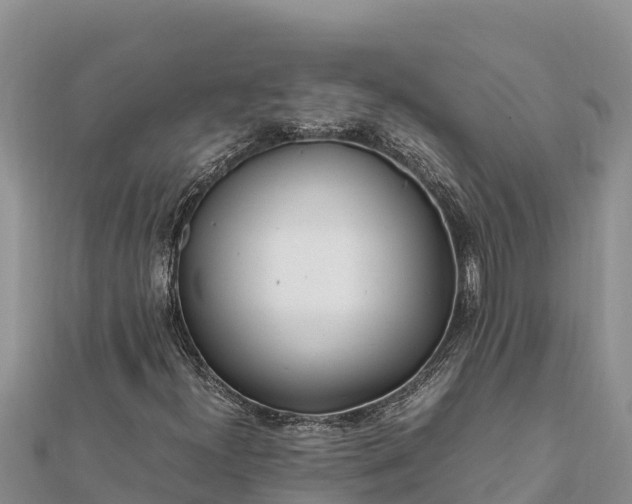 X0000112111300200908181339