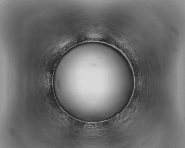 X0000112111301200908181339