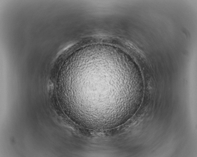 X0000112111302200908181339