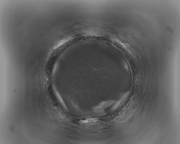 X0000112111303200908181339