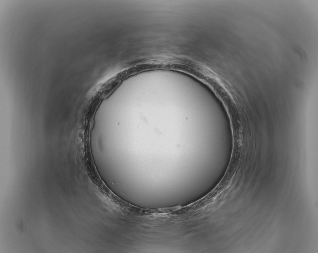 X0000112111304200908181339