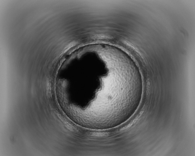 X0000112111305200908181339