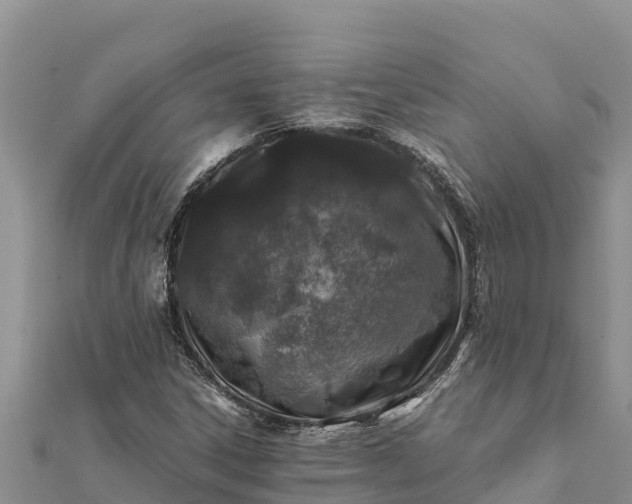 X0000112111306200908181339