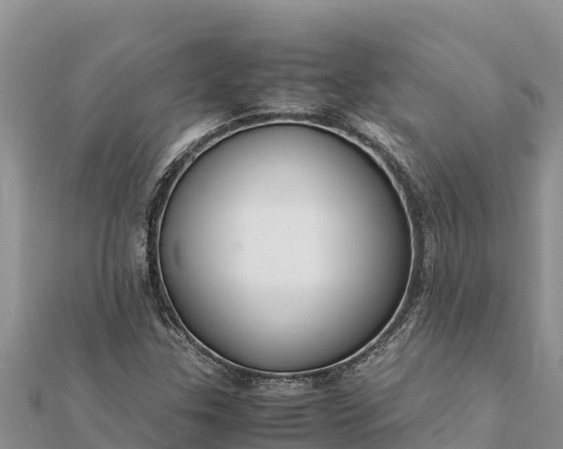 X0000112111307200908181339