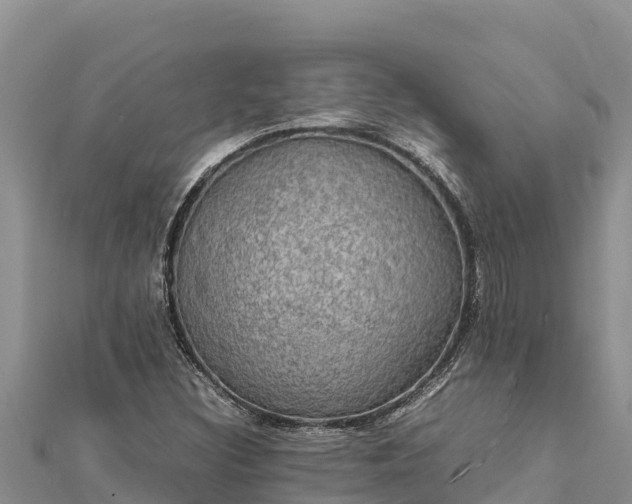 X0000112111308200908181339