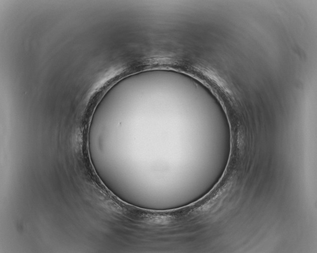 X0000112111309200908181339