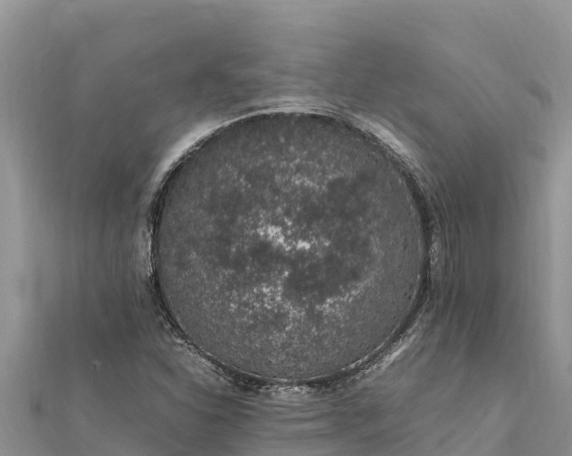 X0000112111310200908181339