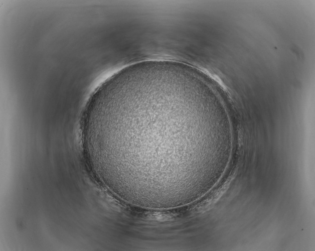 X0000112111311200908181339