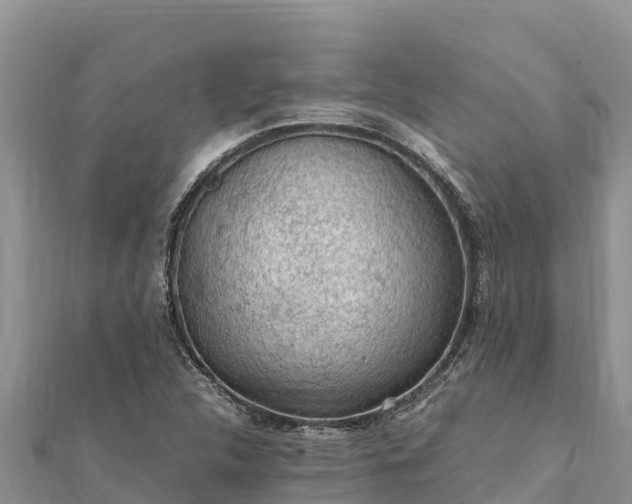 X0000112111312200908181339