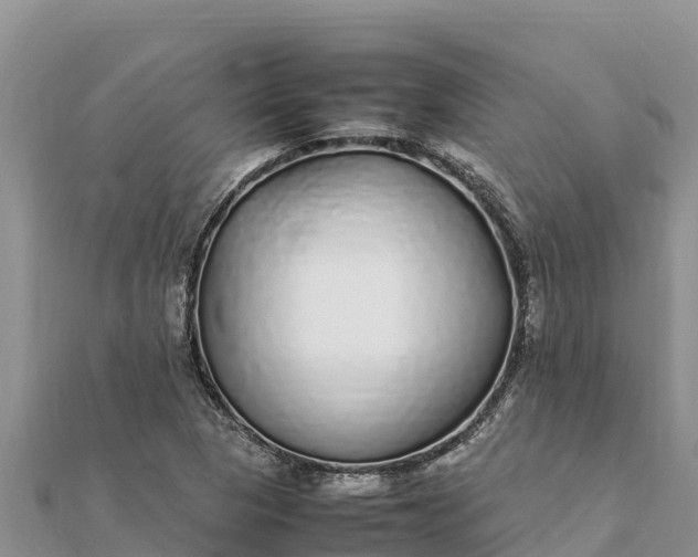 X0000112111313200908181339