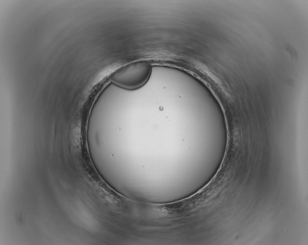 X0000112111315200908181339