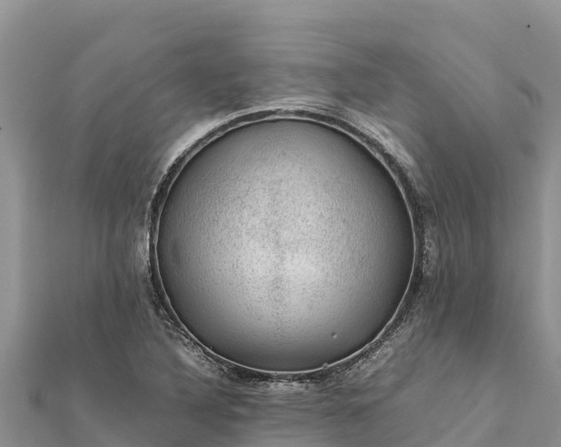 X0000112111316200908181339