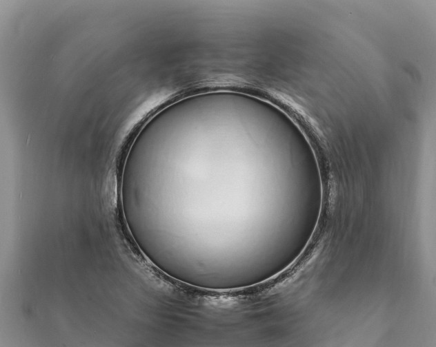 X0000112111317200908181339