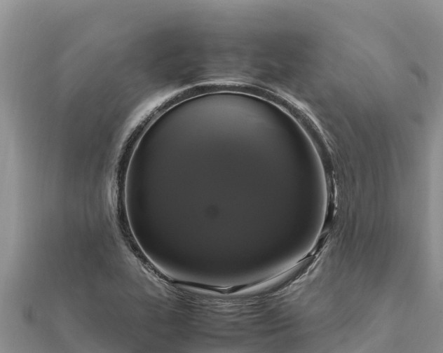 X0000112111319200908181339