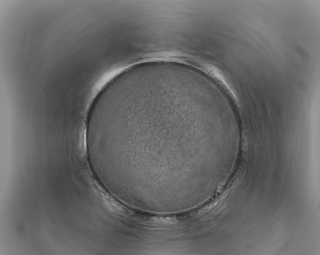 X0000112111320200908181339