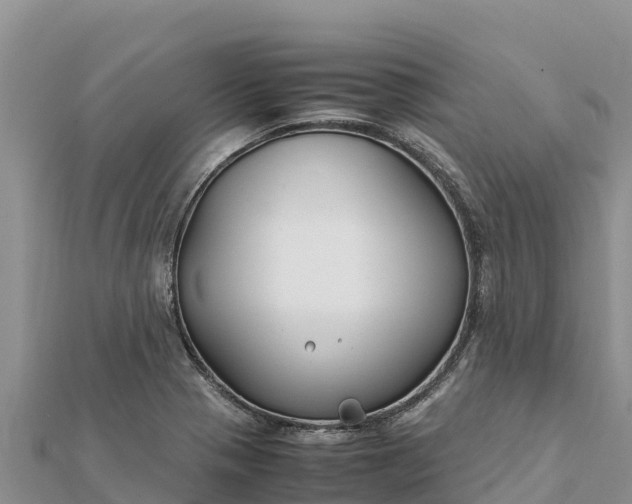 X0000112111321200908181339