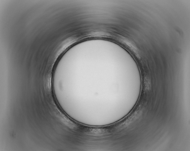 X0000112111322200908181339