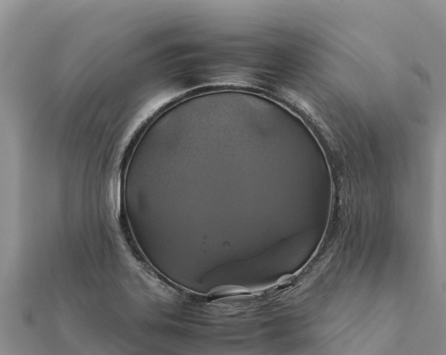 X0000112111323200908181339