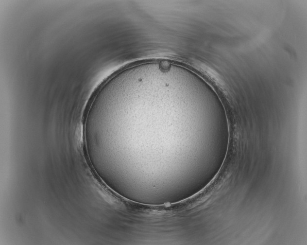 X0000112111324200908181339