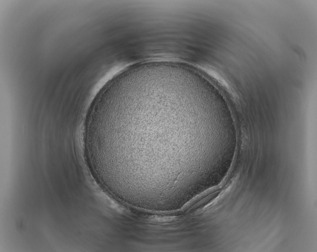 X0000112111325200908181339