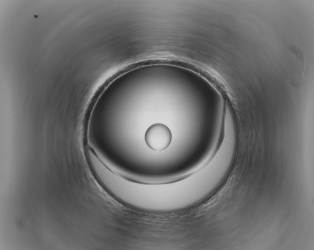 X0000112111326200908181339